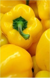 Peppers Yellow Green or Red